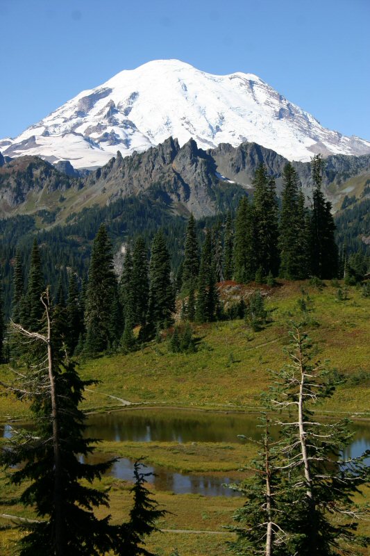 e-mail Mt Rainier and Tipsoo Lake