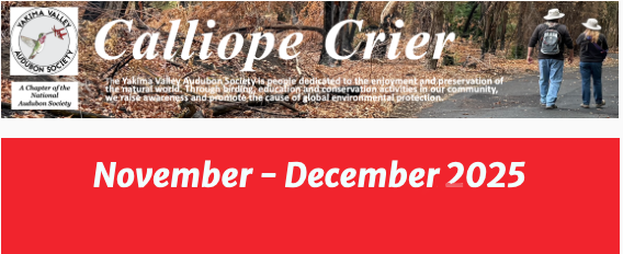 Screenshot 2025-11-26 at 5.01.57 PM