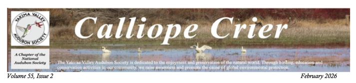 Screenshot 2026-02-21 at 10.30.40 AM