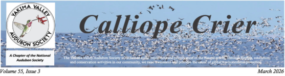 Screenshot 2026-03-22 at 9.27.19 AM